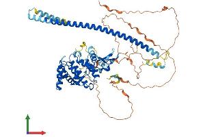 Protein Structure (PS) image for Rac GTPase Activating Protein 1 (RACGAP1) (AA 1-632) protein (His tag) (ABIN7555220)