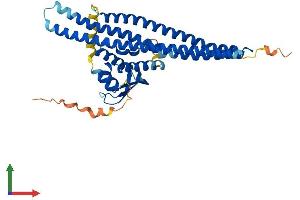 Protein Structure (PS) image for Sorting Nexin 7 (SNX7) (AA 1-387) protein (His tag) (ABIN7560738)