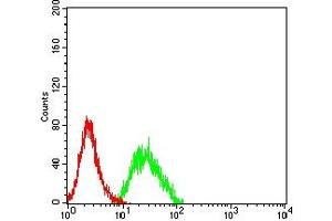 Flow cytometric analysis of CD307E cells using CD307E mouse mAb (green) and negative control (red). (FCRL5 抗体  (AA 16-158))
