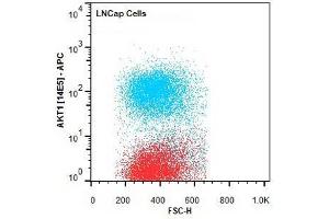 Flow Cytometry (FACS) image for anti-V-Akt Murine Thymoma Viral Oncogene Homolog 1 (AKT1) (Internal Region) antibody (ABIN1607685)