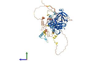 Protein Structure (PS) image for Growth Factor Receptor-Bound Protein 10 (GRB10) (AA 1-621) protein (His tag) (ABIN7563876)