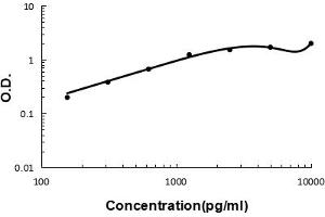 Sandwich ELISA - Recombinant human CPB2 protein standard curve.