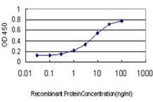 Detection limit for recombinant GST tagged BVES is approximately 0. (BVES 抗体  (AA 262-360))