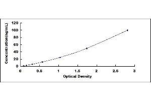 Typical standard curve