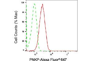 Flow cytometric analysis of PNKP expression in HT- cells using PNKP antibody (ABIN7799880), 1:2,000). (Recombinant PNKP 抗体)