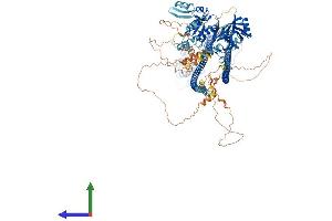 Protein Structure (PS) image for Caspase Recruitment Domain Family, Member 11 (CARD11) (AA 1-1154) protein (His tag) (ABIN7552839)