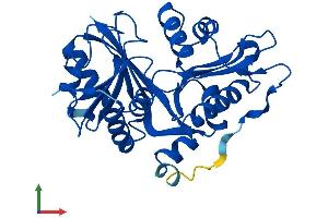 Protein Structure (PS) image for Glycine N-Acyltransferase (GLYAT) (AA 1-296) protein (His tag) (ABIN7560087)