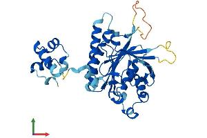 Protein Structure (PS) image for X-Ray Repair Complementing Defective Repair in Chinese Hamster Cells 3 (XRCC3) (AA 1-346) protein (His tag) (ABIN7556057)