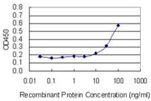 Detection limit for recombinant GST tagged VPS33B is 3 ng/ml as a capture antibody. (VPS33B 抗体  (AA 1-100))
