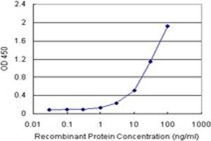 T (Human) Matched Antibody Pair
