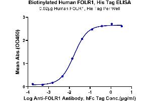 Immobilized Biotinylated Human FOLR1, His at 0. (FOLR1 Protein (His-Avi Tag,Biotin))