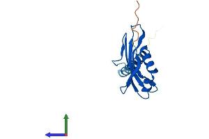 Protein Structure (PS) image for UBX Domain Protein 11 (UBXN11) (AA 1-146) protein (His tag) (ABIN7546665)