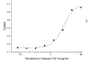 Measured in a cell proliferation assay using Balb/3T3 mouse embryonic fibroblast cells. (FGF9 蛋白)