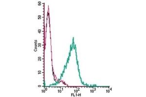 Flow Cytometry (FACS) image for anti-Transient Receptor Potential Cation Channel, Subfamily A, Member 1 (TRPA1) (AA 747-760), (Extracellular) antibody (ABIN7043813)