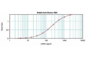 Image no. 3 for anti-Chemokine (C-C Motif) Ligand 22 (CCL22) antibody (ABIN464841) (CCL22 抗体)
