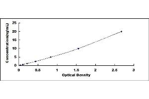 Typical standard curve (SLC12A3 ELISA 试剂盒)