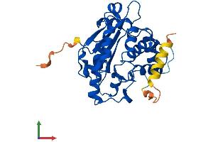 Protein Structure (PS) image for CCR4-NOT Transcription Complex, Subunit 8 (CNOT8) (AA 1-292) protein (His tag) (ABIN7561142)