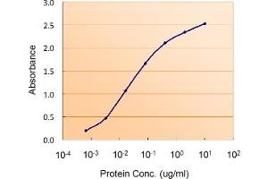 Sandwich ELISA using the DGAT2 antibody at 0. (DGAT2 抗体)