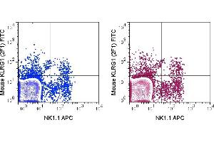 C57Bl/6 splenocytes were stained with APC Anti-Mouse NK1. (KLRG1 抗体  (FITC))