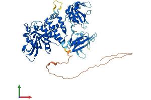 Protein Structure (PS) image for Protein-tyrosine Phosphatase 1C (PTPN6) (AA 1-595) protein (His tag) (ABIN7551091)