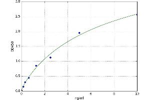 Activity-Regulated Cytoskeleton-Associated Protein (Arc) ELISA Kit