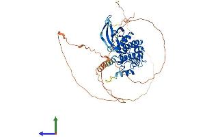 Protein Structure (PS) image for CaM Kinase-Like Vesicle-Associated (CAMKV) (AA 1-501) protein (His tag) (ABIN7552958)
