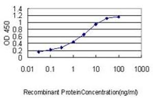 Detection limit for recombinant GST tagged SLA2 is approximately 0. (SLAP2 抗体  (AA 1-261))
