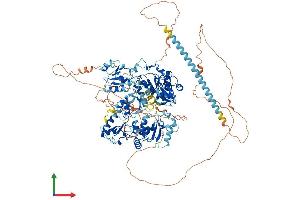 Protein Structure (PS) image for PAX Interacting (With Transcription-Activation Domain) Protein 1 (PAXIP1) (AA 1-1069) protein (His tag) (ABIN7554885)