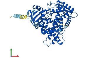 Protein Structure (PS) image for Cytochrome P450, Family 2, Subfamily C, Polypeptide 19 (CYP2C19) (AA 1-490) protein (His tag) (ABIN7546826)