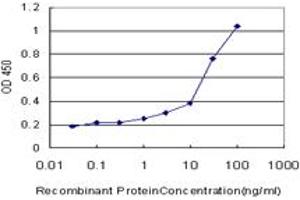 Detection limit for recombinant GST tagged CAMK2A is approximately 0. (CAMK2A 抗体  (AA 305-410))