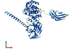 Protein Structure (PS) image for Glycosyltransferase-Like Domain Containing 2 (GTDC2) (AA 1-580) protein (His tag) (ABIN7554998)