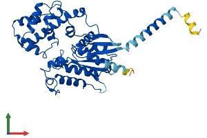 Protein Structure (PS) image for Guanine Nucleotide Binding Protein (G Protein), alpha 11 (Gq Class) (GNA11) (AA 1-359) protein (His tag) (ABIN7562955)