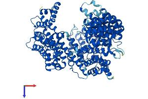 KPNB1 Protein (AA 1-876) (His tag)