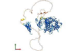 AlphaFold protein structure predicition of Mouse Recombinant Adarb1 Protein, UniprotID Q91ZS8