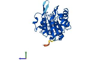 Protein Structure (PS) image for Haloacid Dehalogenase-Like Hydrolase Domain Containing 2 (HDHD2) (AA 1-259) protein (His tag) (ABIN7557188)