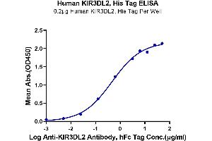ELISA image for Killer Cell Immunoglobulin-Like Receptor, three Domains, Long Cytoplasmic Tail, 2 (KIR3DL2) (AA 22-339) protein (His-Avi Tag) (ABIN7275102)