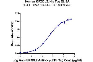 Immobilized Human KIR3DL2, His Tag at 2 μg/mL (100 μL/well) on the plate. (KIR3DL2 Protein (AA 22-339) (His-Avi Tag))