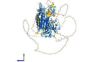 Protein Structure (PS) image for Helicase-Like Transcription Factor (HLTF) (AA 1-1009) protein (His tag) (ABIN7554094)