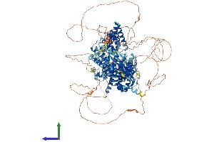 Protein Structure (PS) image for alpha-Kinase 1 (ALPK1) (AA 1-1244) protein (His tag) (ABIN7552084)