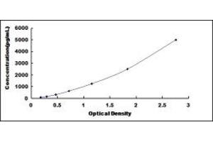 Typical standard curve (THBS3 ELISA 试剂盒)