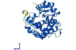 Protein Structure (PS) image for Sulfotransferase Family, Cytosolic, 2A, Dehydroepiandrosterone (DHEA)-Preferring, Member 1 (SULT2A1) (AA 1-285) protein (His tag) (ABIN7563422)