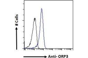 ABIN334453 Flow cytometric analysis of paraformaldehyde fixed A431 cells (blue line), permeabilized with 0. (OSBPL3 抗体  (N-Term))