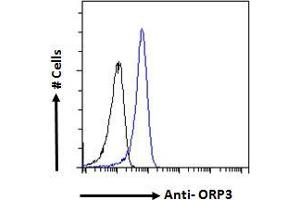 ABIN334453 Flow cytometric analysis of paraformaldehyde fixed A431 cells (blue line), permeabilized with 0.