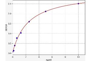 Typical standard curve (Musculin ELISA 试剂盒)