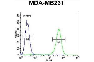 AMACR Antibody (C-term) flow cytometric analysis of MDA-MB231 cells (right histogram) compared to a negative control cell (left histogram).