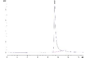 Size-exclusion chromatography-High Pressure Liquid Chromatography (SEC-HPLC) image for Insulin-Like Growth Factor Binding Protein 2, 36kDa (IGFBP2) (AA 36-325) protein (His tag) (ABIN7274859)
