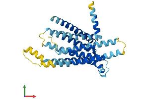 AlphaFold protein structure predicition of Human Recombinant TAS2R41 Protein, UniprotID P59536
