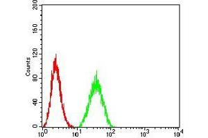 Flow Cytometry (FACS) image for anti-Protein tyrosine Phosphatase, Non-Receptor Type 14 (PTPN14) (AA 896-1169) antibody (ABIN5542696)
