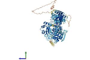 Protein Structure (PS) image for HECT Domain and Ankyrin Repeat Containing, E3 Ubiquitin Protein Ligase 1 (HACE1) (AA 1-909) protein (His tag) (ABIN7554055)
