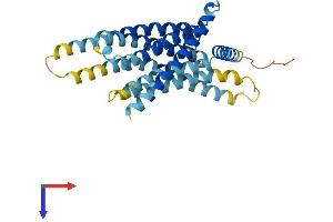TAS2R14 Protein (AA 1-317) (His tag)